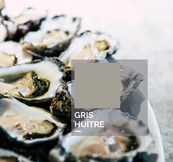 gris huître